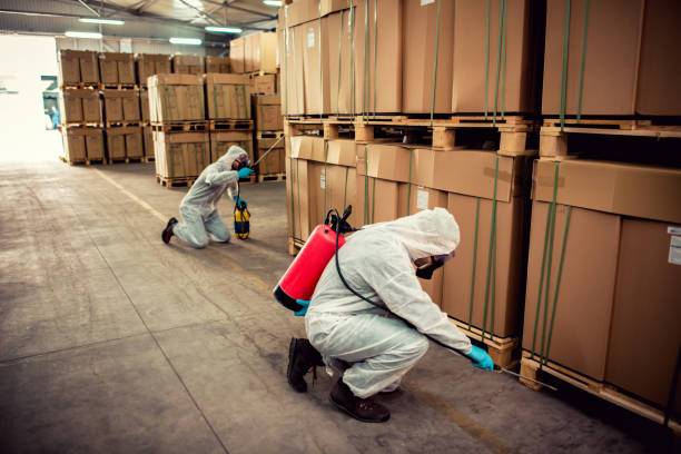 Best Residential Pest Control  in Christopher, IL