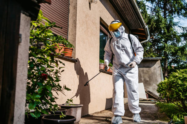 Best Emergency Pest Control  in Christopher, IL