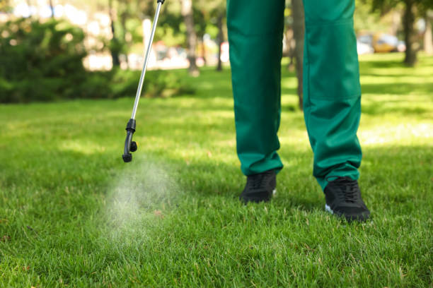 Best Pest Control Near Me  in Christopher, IL