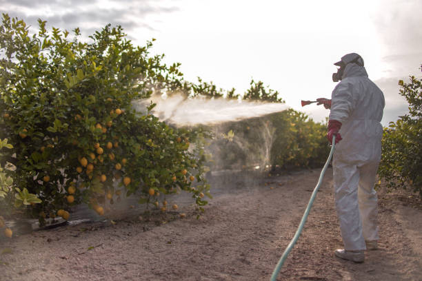 Best Residential Pest Control  in Christopher, IL