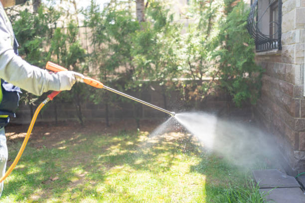 Best Pest Inspection Near Me  in Christopher, IL