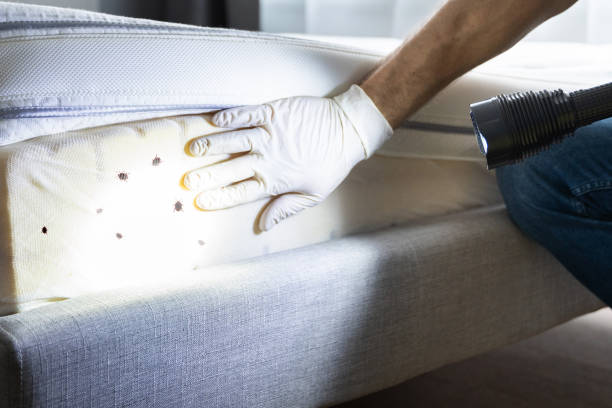 Best Affordable Exterminators  in Christopher, IL