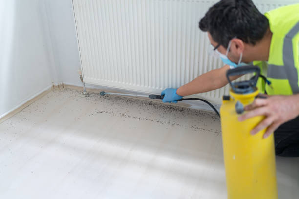 Best Ant Control Services  in Christopher, IL