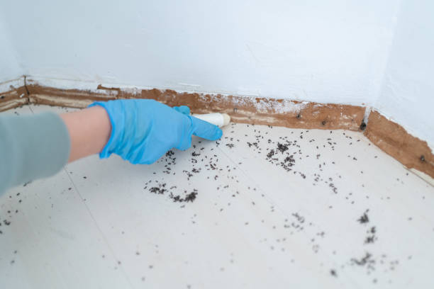 Best Exterminator Services  in Christopher, IL
