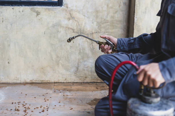 Best Pest Removal Services  in Christopher, IL